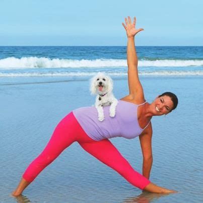 "Doga" | Dog yoga, Dog doing yoga, Funny dog pictures