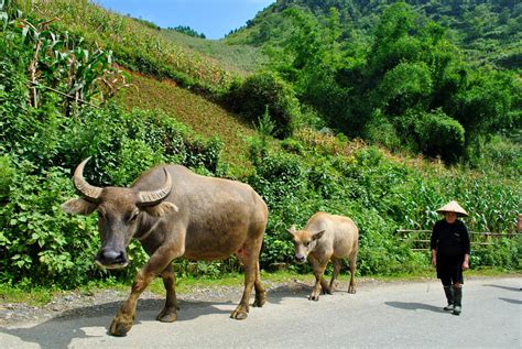 The Best Sapa Trekking Tours, Vietnam