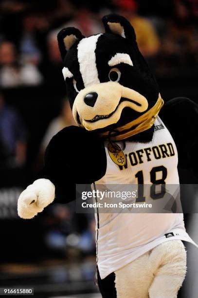 Wofford Mascot Photos and Premium High Res Pictures - Getty Images