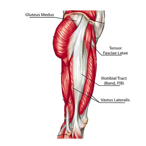 Leg muscles pain