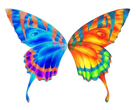 Butterfly Wings Clip Art - ClipArt Best
