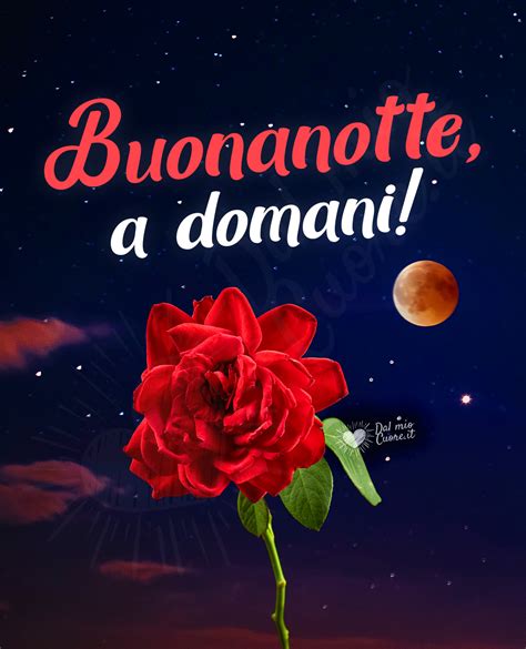 Buonissima notte, a domani. Immagini, GIF e Video Gratis