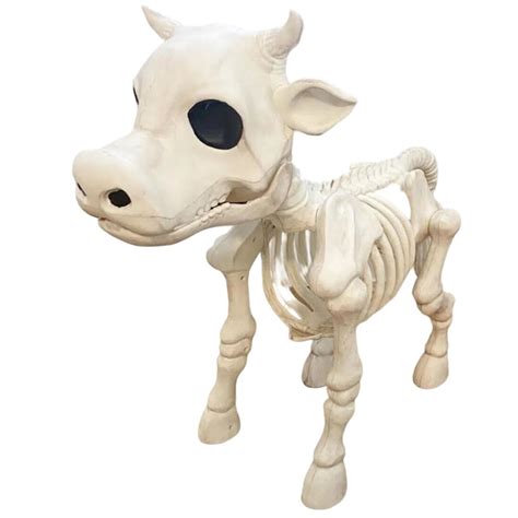 Cow Skeleton