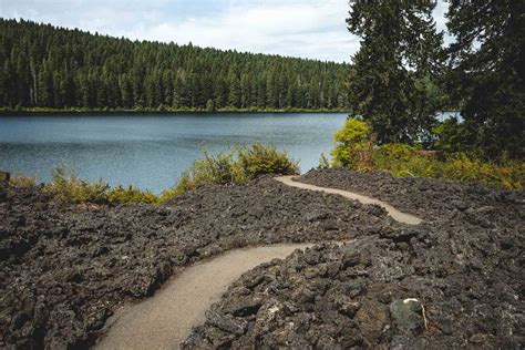 Your Guide to Exploring Clear Lake, Oregon | Oregon is for Adventure