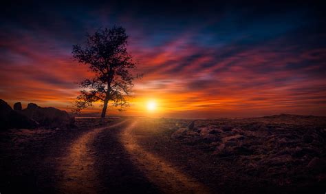 Beautiful Sunset On Dirt Road, HD Nature, 4k Wallpapers, Images, Backgrounds, Photos and Pictures