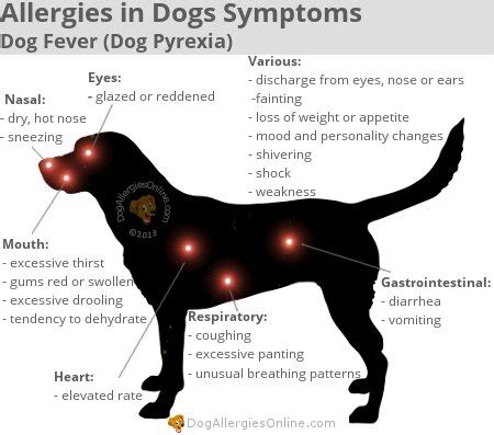 37 Can Allergies Cause Swollen Lymph Nodes In Dogs – Home