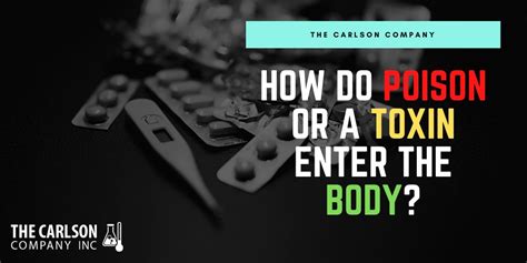 How do Poisons or Toxins enter the body? | The Carlson Company