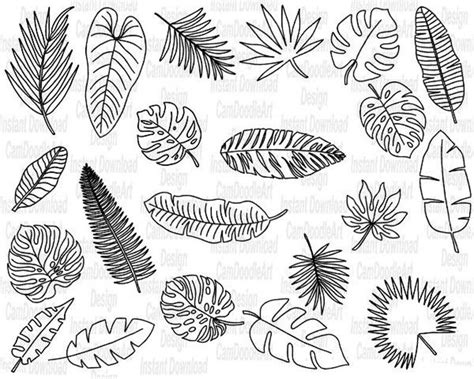 21 Doodle Tropical Leaves Vector Pack Hand Drawn Doodle | Etsy ...