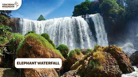 Da Lat Waterfalls: Top 12 Must-Visit Natural Wonders - Tám Trình Coffee ...