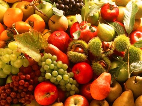 Autumn Fruits and Vegetables in your diet-Dodge Park