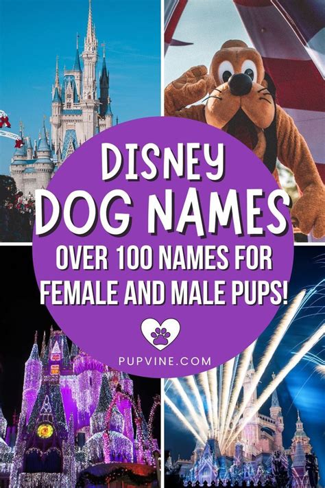 Disney Dog Names Over 100 Names For Female And Male Pups! | Disney pet ...