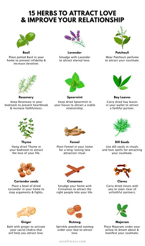 15 Herbs to Attract Love into Your Life (& Improve Relationships)