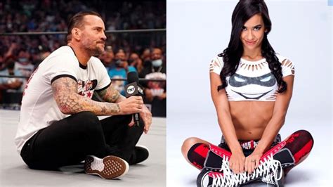 CM Punk On AJ Lee Possibly Returning To The Ring