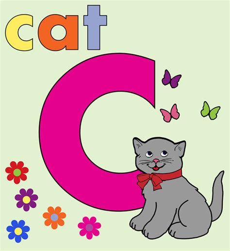 Cat Alphabet Letter C Free Stock Photo - Public Domain Pictures