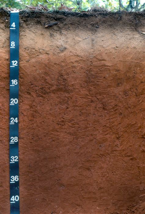 Solved Figure 31-3: Soil profile example. The depth scale is | Chegg.com