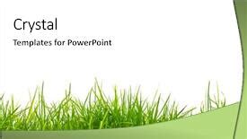 493 Best Grass-Themed Templates for PowerPoint & Google Slides