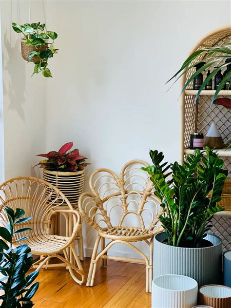 Feng Shui Gardening: What Plants to Put in Each Room for Luck