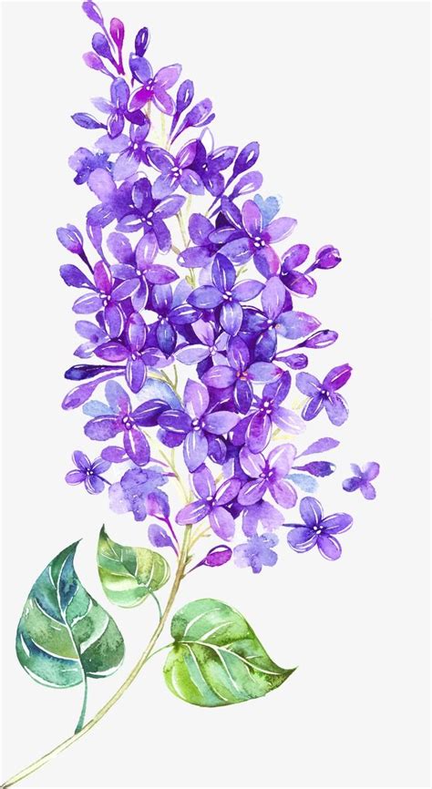 Floating Flower | Lilac painting, Flower drawing, Flower painting