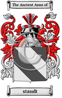 Staudt Name Meaning, Family History, Family Crest & Coats of Arms