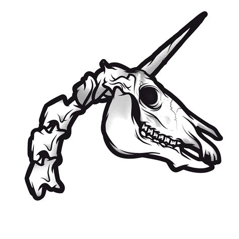 Unicorn skull | Horse skull, Skeleton drawings, Skull