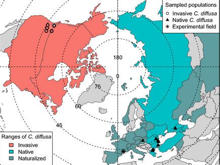 Range and population map of Centaurea in the Northern Hemisphere, by ...