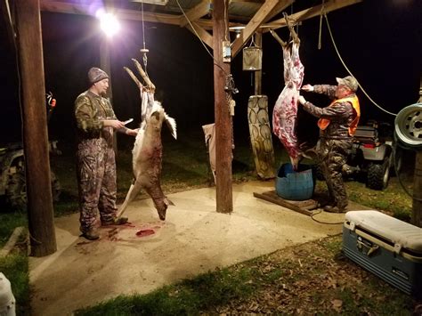 Can Zombie Deer Infect Humans? - AllOutdoor.com