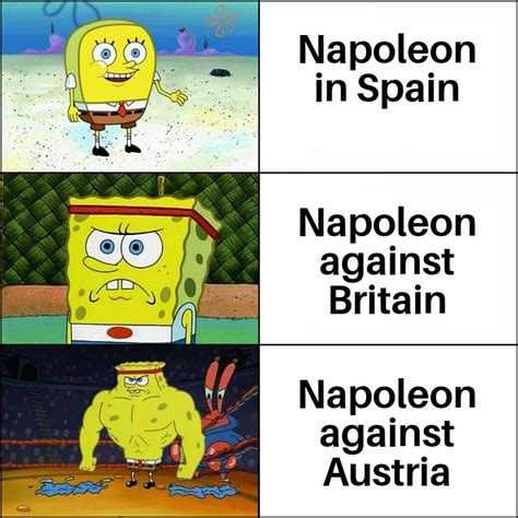 Napoleonic wars before 1812 : r/HistoryMemes