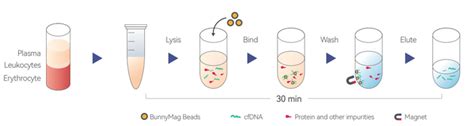 100 Tests CFDNA Extraction Kit For Next Generation Sequencing