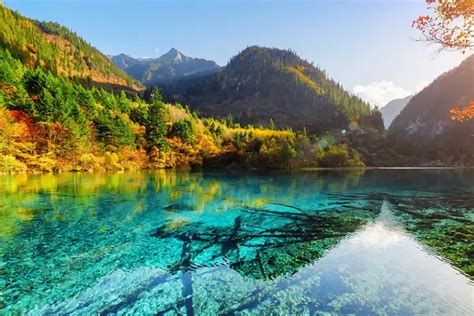 Lac des Cinq Fleurs en Chine : le joyau du parc de Jiuzhaigou