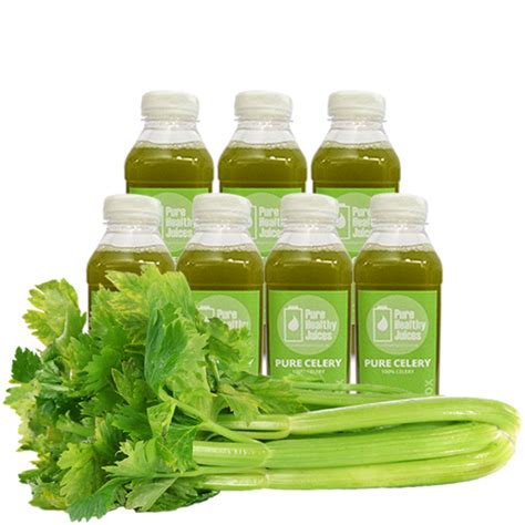 Pure Celery Juice Cleanse - 250ml - Pure Celery Juice