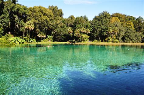 The 12 Best Springs In Florida To Visit Right Now