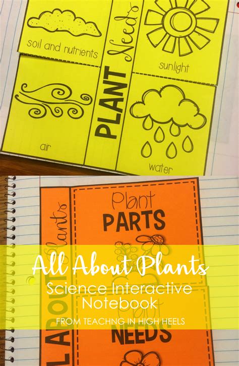 Interactive Science Notebook Plants | Interactive science notebook, Interactive science, Science ...