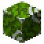 Green Glazed Terracotta in Minecraft – Minecraft Items ID