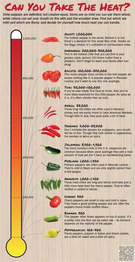 42 Cheat Sheet Infographics to Turn You into a Star Chef ... | Stuffed ...