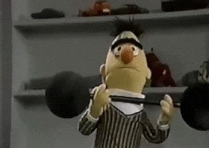 bert and ernie | GIF | PrimoGIF