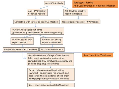 Update on WHO Guidelines for HBV and HCV Testing | Medical Laboratory Observer