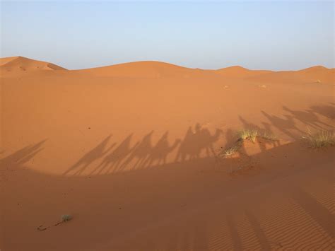 Sahara Desert · Free photo on Pixabay