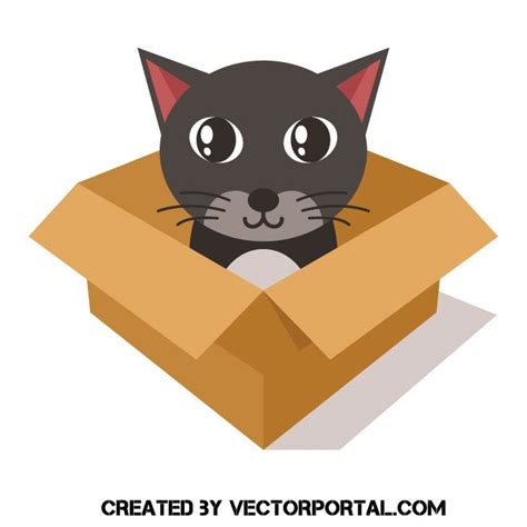 Cat in box vector image | Vector images, Cat box, Vector