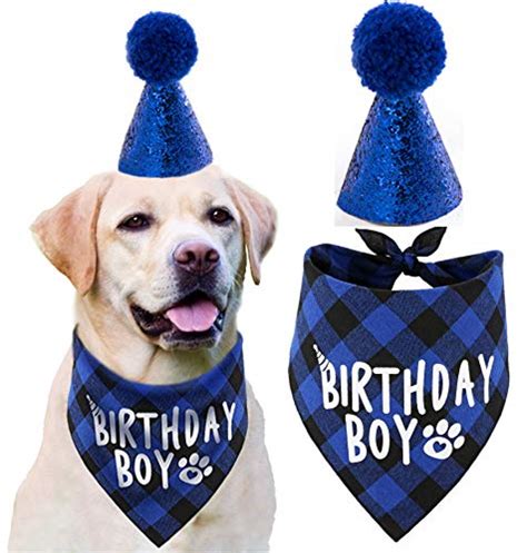 Is Your Dog The Best In A Birthday Hat?