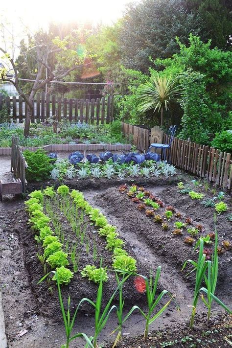 Apartementdecor | Herb garden design, Home vegetable garden design ...