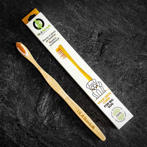 Bamboo Toothbrush – Big Dog – TWIG