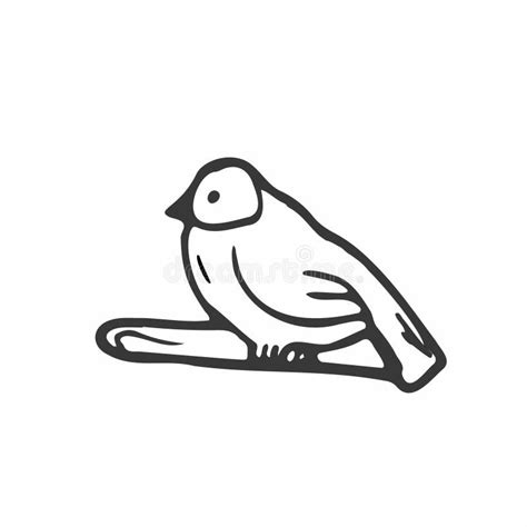 Vector Hand Drawn Doodle Sketch Bird Isolated on White Background Stock ...