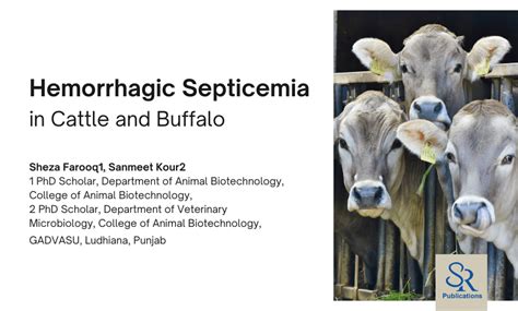 Hemorrhagic Septicemia in Cattle and Buffalo - SR Publications