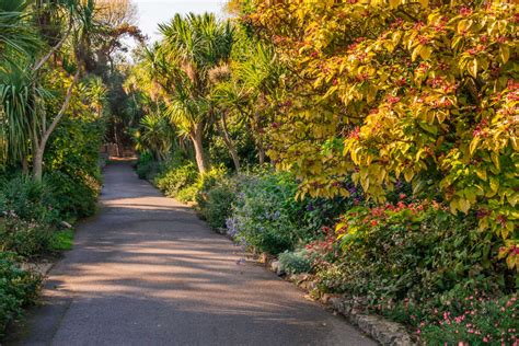 Ventnor Botanic Garden Joins 'Exciting' Gardens United Project - Isle ...