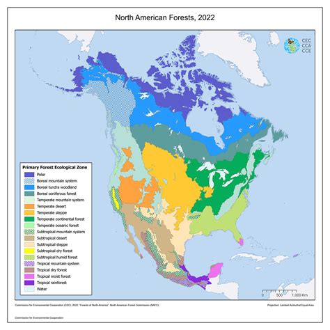 Bosques de América del Norte, 2022