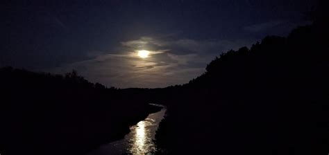 A portrait of nature along the Niobrara River - Wild With Nature