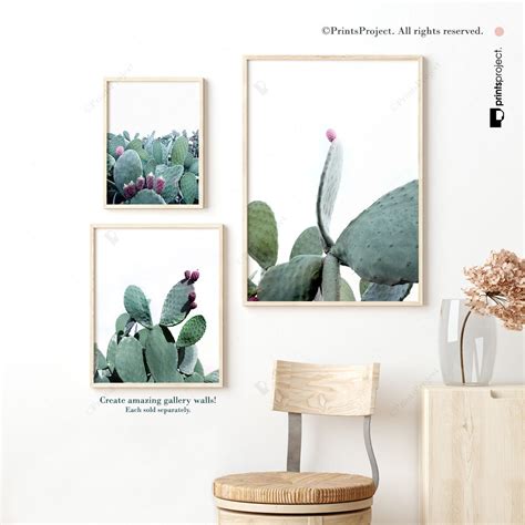 Cactus Wall Art Southwestern Decor Cactus Photography | Etsy