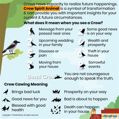 Crow Meaning | Crow Symbolism | Crow Spiritual Meaning