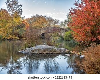 736 Gapstow Bridge Autumn Images, Stock Photos & Vectors | Shutterstock