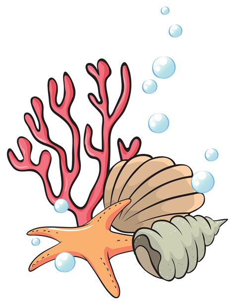 Shells and starfish under the sea 526391 Vector Art at Vecteezy